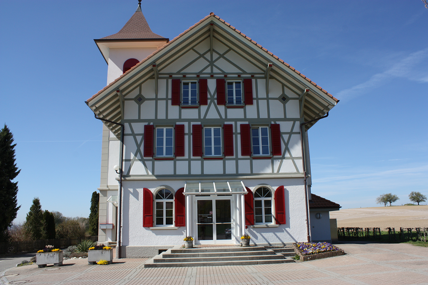 Alu-Fensterladen, Holz-Fensterladen, Jalousie, Chassis, Fellladen